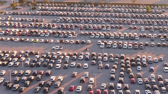 Large modern car dealership lot in Florida with rows of new and used vehicles, shiny inventory displayed outdoors under sunset light. Automotive retail and consumer choice.