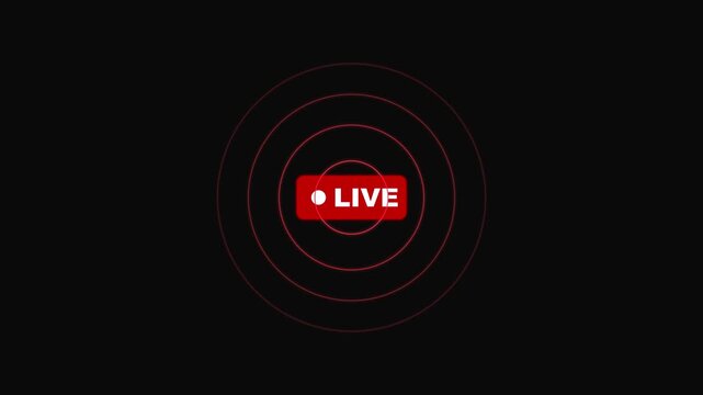 Live streaming broadcast overlay with pulsing red signal for digital media and online creation animation 4k