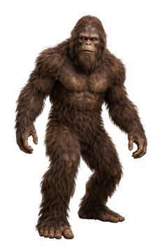 PNG Realistic Bigfoot illustration on white background.
