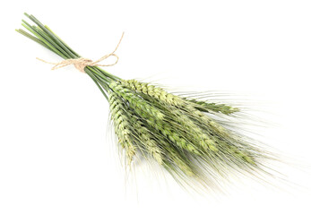 Fototapeta premium Bunch of green wheat spikes isolated on white