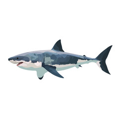 Fototapeta premium Modern flat 2D vector illustration of a Great White Shark, minimal design style on a white background.