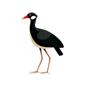2D minimalist flat vector of a Jacana, contemporary clean design isolated on white.