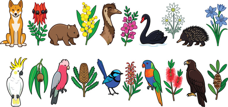 Australian Wildlife and Native Flora Vector Icon Set Featuring Dingo, Wombat, Emu, Cockatoo, Kangaroo Paw, Banksia, and Eucalyptus For Graphic Designs