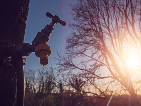 Sunset behind bare trees. Water tap attached to wooden pole. Grass and dirt path visible. Lens flare from low sun. Hot summer season and dry out of water area. Light and airy mood.
