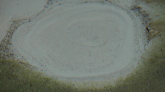 A Natural Spring Bursts Forth From The Earth.