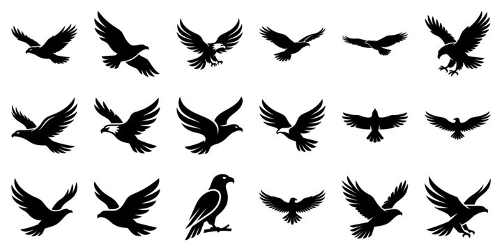 Flying eagle solid glyph icon set for power and freedom. Vector illustration.