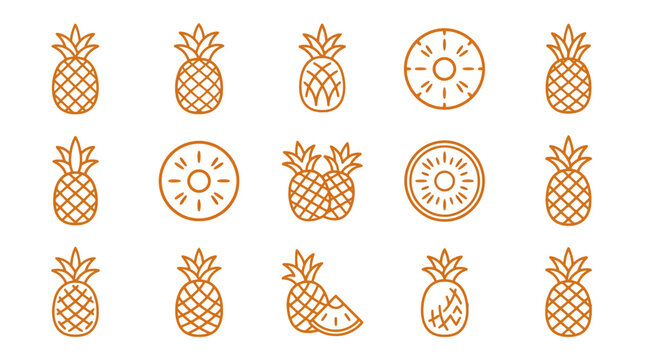 Collection of orange line icons for various pineapple styles.