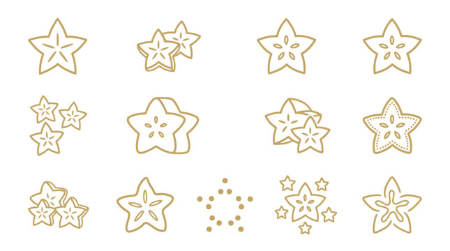 Tropical starfruit carambola line icon set