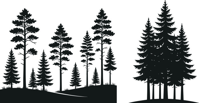 Pine and Fir Tree Forest Silhouettes Collection Coniferous Landscape Isolated on White Background
