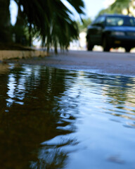 Fototapeta premium Flooded street shallow water road reflection palm leaf car silhouette tropical street wet pavement water mirror bright sky negative space
