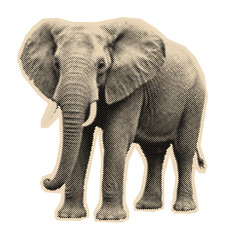 Obraz premium African elephant with tusks and large ears, a majestic wild animal illustration in a vintage monochrome halftone or engraving pop art style