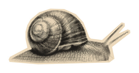 Garden snail illustration of the slow-moving mollusk with a spiral shell, rendered in a vintage halftone or retro comic book art style © Mr. Stocker