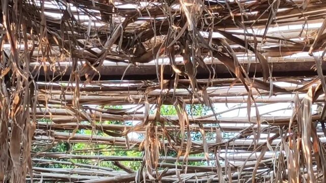 Traditional Thatched Roof Made Of Dried Palm Leaves And Bamboo Sticks Against Blue Sky Background