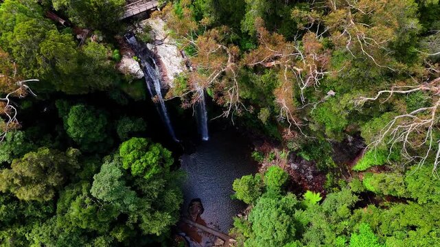 Aerial View of Twin Falls Cascading Into a Natural Rock Pool, Nestled Within the Gondwana Rainforests of Springbrook National Park, Queensland, Australia