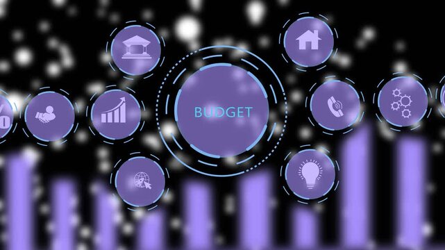 Corporate budget planning and financial expense management infographic animation