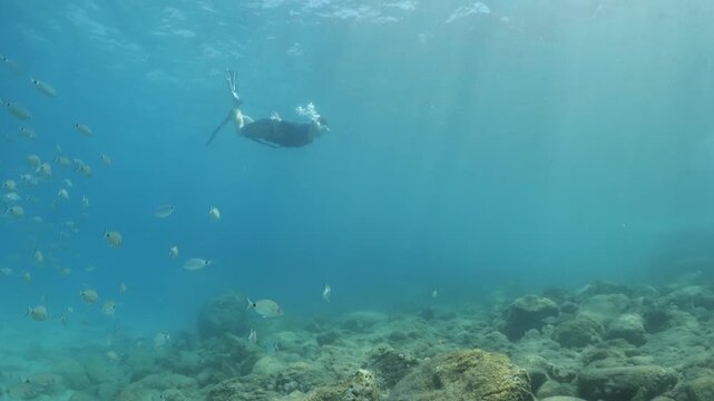free diver  man underwater  diving some fish around