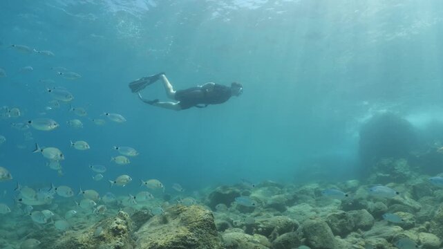 free diver  man underwater  diving some fish around
