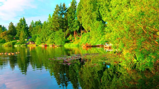 Wide angle scenic landscape view looking across a peaceful freshwater lake during morning golden hour
