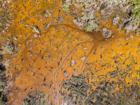 Aerial view of the Estero El Salado mangrove forest, showing orange-tinted water, dead tree trunks, and dense green vegetation in Puerto Vallarta, Jalisco, Mexico.