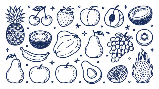Hand drawn doodle set of various tropical and garden fruits in sketch style with collection pineapple strawberry dragonfruit nutrition