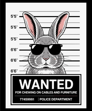 Bunny Rabbit Mugshot Funny