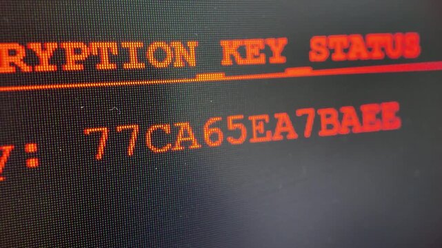 Digital Security Interface Displaying Encryption Key Status and Hex Code