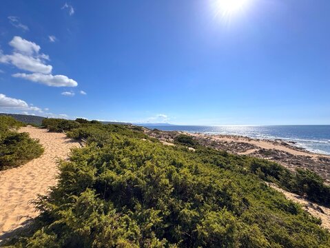 View of sandy path through the beautiful dune landscape at Trafalgar Lighthouse towards the Atlantic Ocean, Los Ca&ntilde;os de Meca and Zahora, Vejer de la Frontera, Costa de la Luz, Andalusia, Spain	