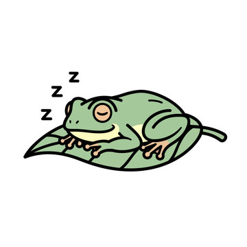 Cute cartoon frog sleeping peacefully on a green leaf, with Zzzs indicating sleep, simple illustration.