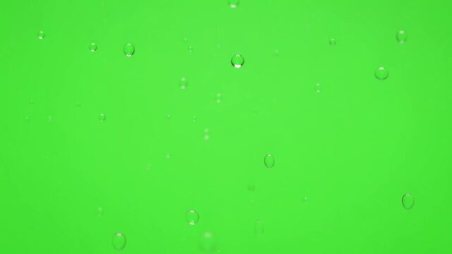Floating transparent water bubbles rising up on green screen liquid chroma key