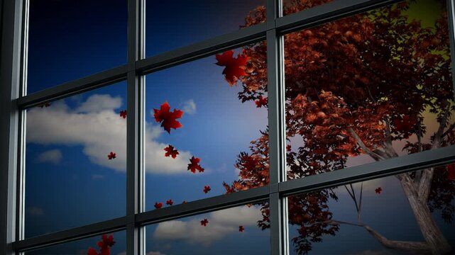 Leaves falling outside a window