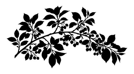 Cad tree line Blackberry branch, leafy silhouette, berry bush, floral icon isolated on White Background vector © MdAbdul