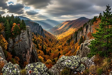 Obraz premium View from rocky cliff over autumn mountain valley, bright orange forest stretches far below. Tall evergreen trees stand against dramatic cloudy sky with sun rays piercing through.