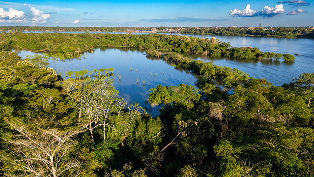 Lush flooded forest and vibrant green treetops emerging from the pristine blue waters of the Amazon basin during a bright day.
