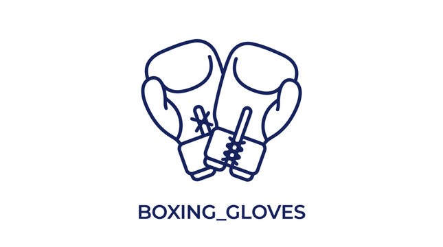 Boxing gloves for combat sports.