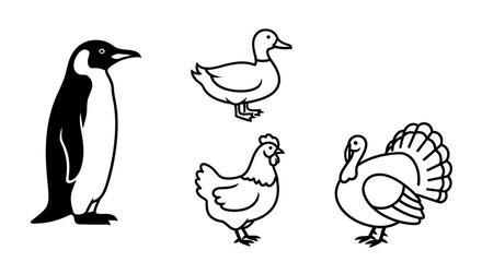 Simple black and white line art illustration of various birds including a penguin duck chicken and turkey. © Nabila