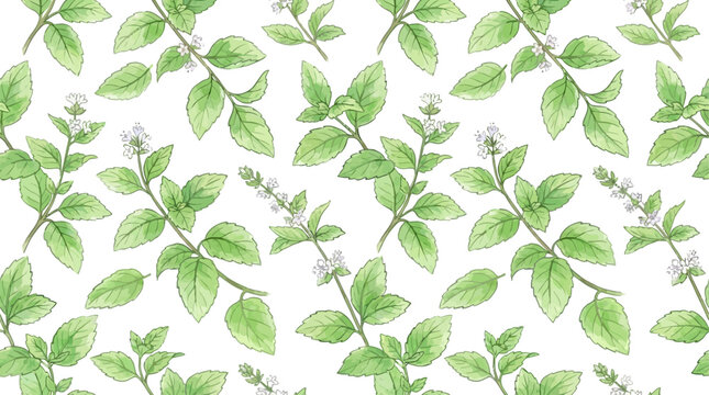 Elegant watercolor vector seamless pattern featuring aromatic organic peppermint mint branches with lush green foliage and delicate leaves isolated on a clean white background for textile design.
