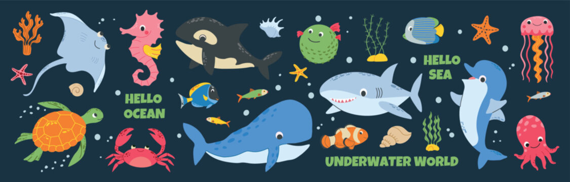 Cute flat illustration collection of various marine animals and sea life elements on a dark blue background. This adorable underwater banner bundle features a shark, whale, killer whale, dolphin, octo