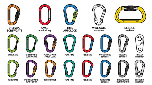 Climbing Carabiner Collection: Types, Colors, and Locking Mechanisms Illustrated