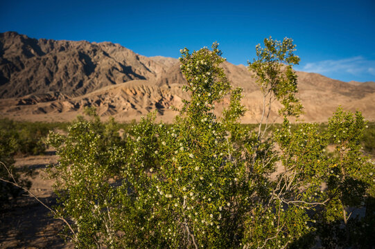 Mountains along the Badwater Basin in Death Valley National Park at sunset.  California, USA.