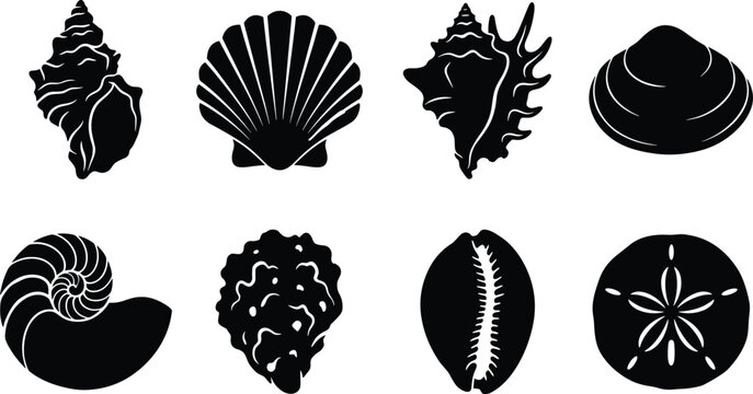 Sea Shell Silhouette Collection Featuring Conch Scallop Clam Nautilus Cowrie Oyster and Sand Dollar Marine Vector Set