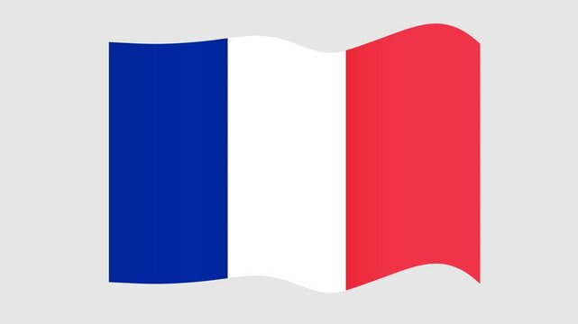 Seamless Looping Waving Flag -  France Motion Background 4K 60fps