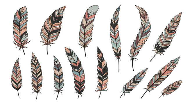 Collection of intricately detailed bird feathers with varied patterns and colors in a hand drawn sketch style on a white background.
