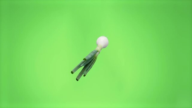 Whole fresh spring onion scallion with white bulb and vibrant green stalk tumbling in the air against a green screen backdrop. Perfect for salad recipe videos, culinary commercials, organic farming pr