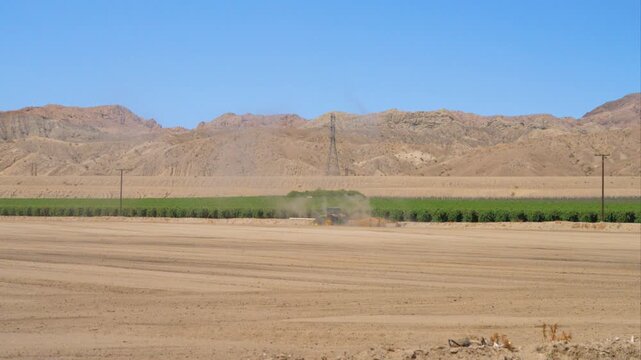 Hot Summer agriculture in Thermal California.