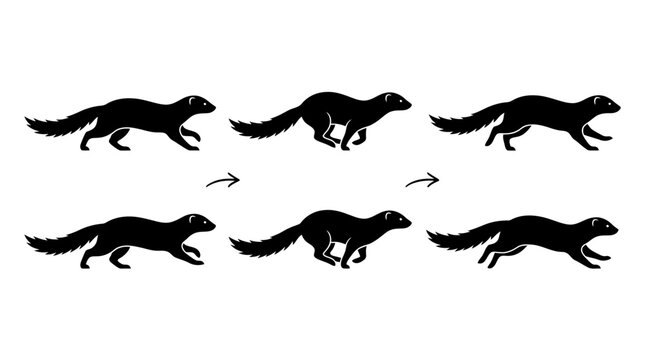 Ferret movement cycle silhouette collection showing walking and running poses for character animation and motion graphics design