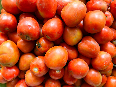Pile of ripe red tomatoes with varied shapes and textures