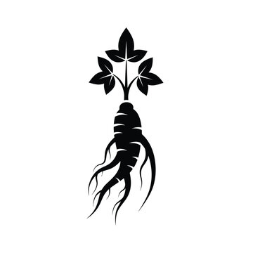 Black silhouette of ginseng plant 1.