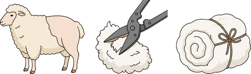 Sheep Shearing Wool Production Vector Set with Shorn Ewe Hand Shears Cutting Fleece and Tied Raw Fiber Roll for Agriculture and Craft Layouts © amzad