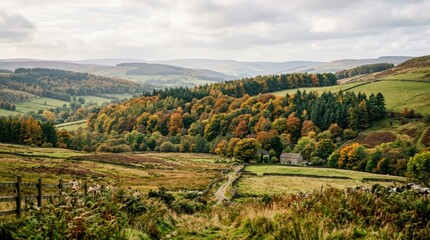 Naklejka premium Autumn Landscape with Rolling Hills and Forest.