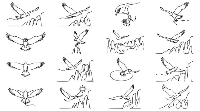 Elegant Bird of Prey Line Art Collection: Eagles, Hawks, Owls in Flight Over Mountains